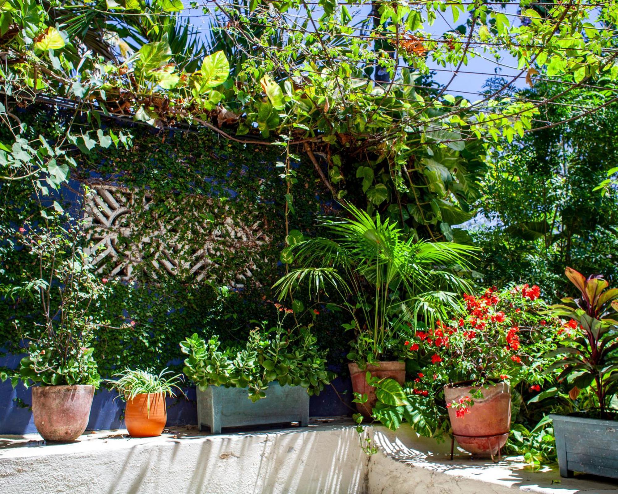 Casa Marimba Bed and Breakfast La Laguna Buitenkant foto